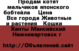 Продам котят мальчиков японского бобтейла. › Цена ­ 30 000 - Все города Животные и растения » Кошки   . Ханты-Мансийский,Нижневартовск г.